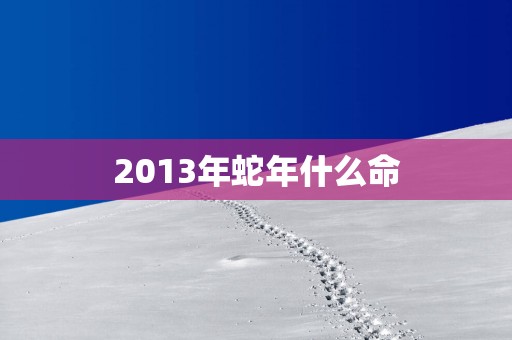 2013年蛇年什么命