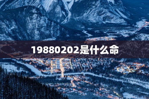 19880202是什么命