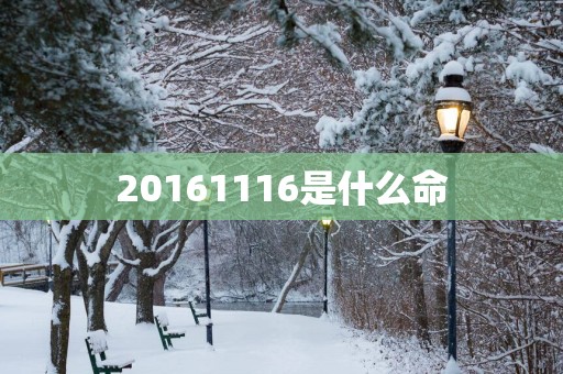 20161116是什么命