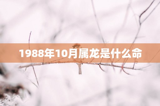 1988年10月属龙是什么命