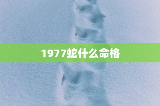 1977蛇什么命格