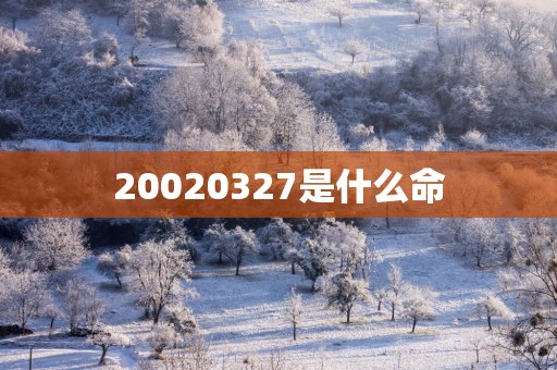 20020327是什么命