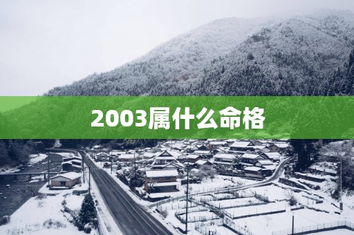 2003属什么命格