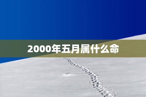 2000年五月属什么命