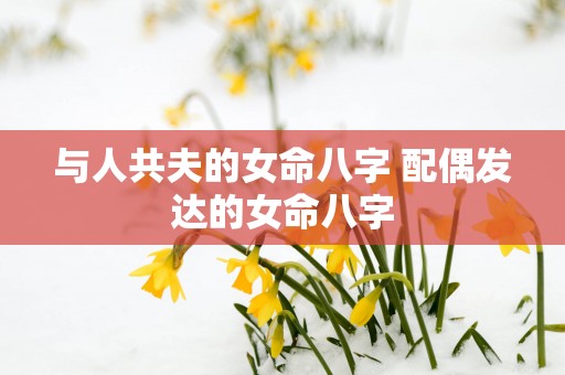 与人共夫的女命八字 配偶发达的女命八字