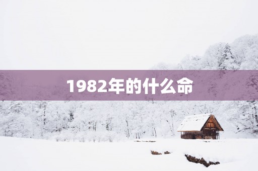 1982年的什么命
