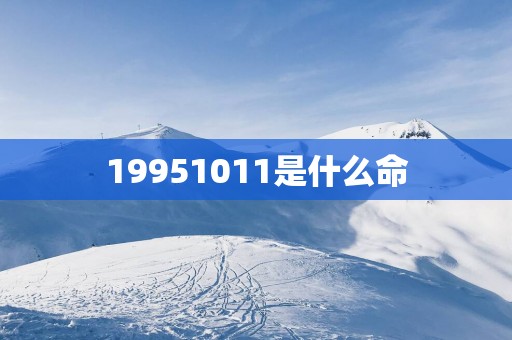 19951011是什么命