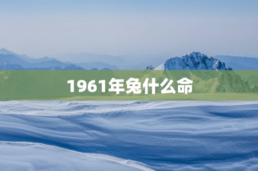 1961年兔什么命 1961年兔什么命