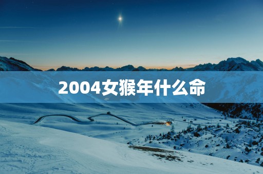 2004女猴年什么命