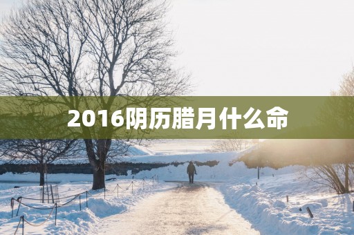 2016阴历腊月什么命