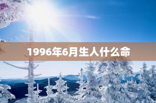 1996年6月生人什么命