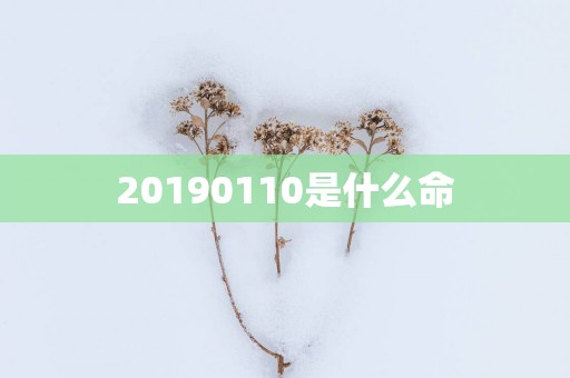 20190110是什么命