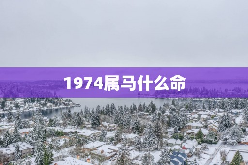 1974属马什么命