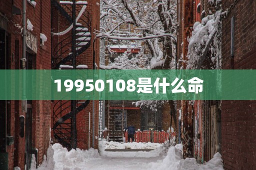 19950108是什么命