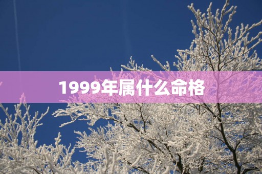 1999年属什么命格