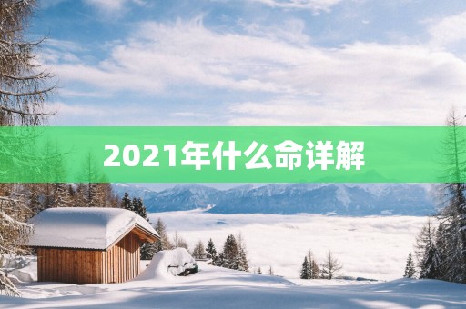 2025年什么命详解 2025年什么命详解