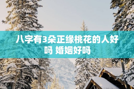 八字有3朵正缘桃花的人好吗 婚姻好吗