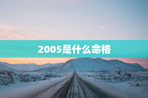 2005是什么命格
