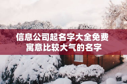 信息公司起名字大全免费 寓意比较大气的名字