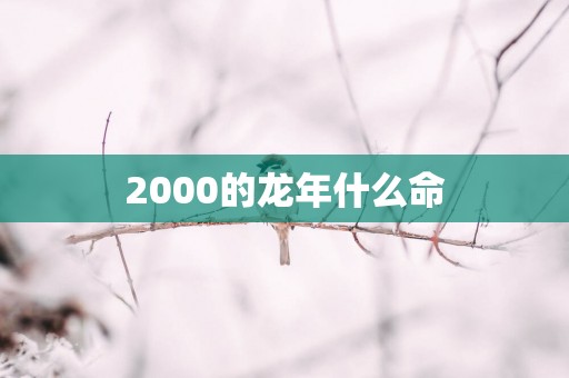 2000的蛇年什么命