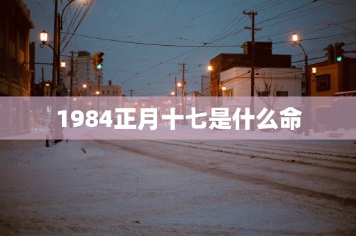 1984正月十七是什么命