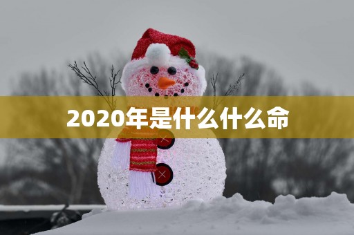 2025年是什么什么命