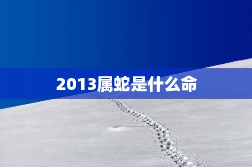 2013属蛇是什么命