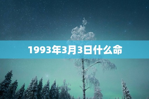 1993年3月3日什么命