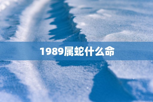 1989属蛇什么命