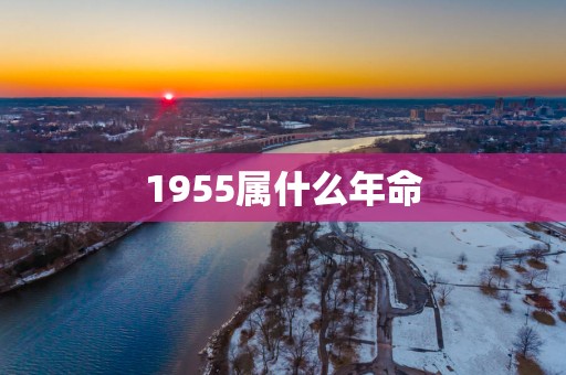 1955属什么年命