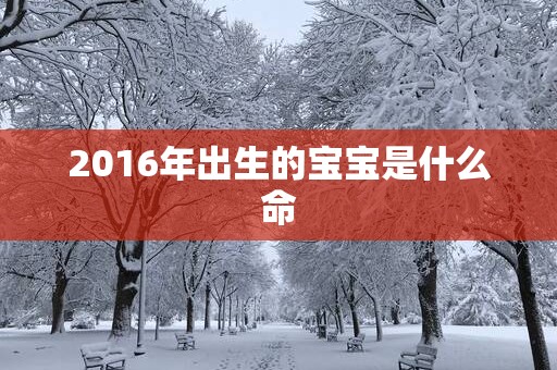 2016年出生的宝宝是什么命