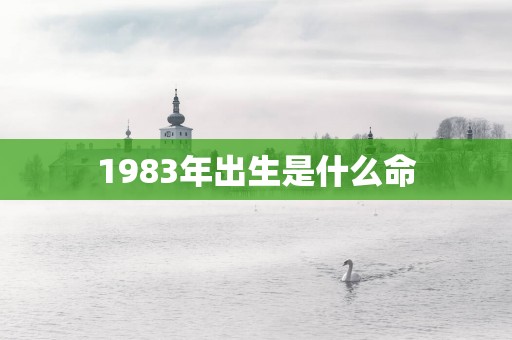 1983年出生是什么命