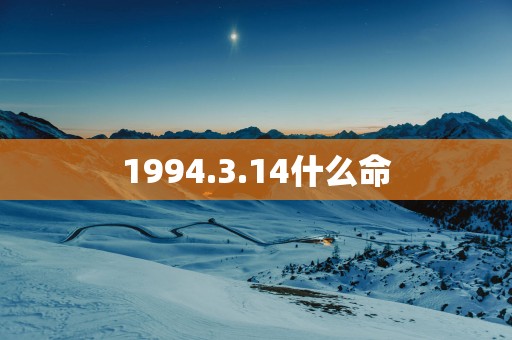 1994.3.14什么命