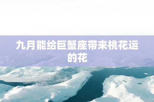 九月能给巨蟹座带来桃花运的花