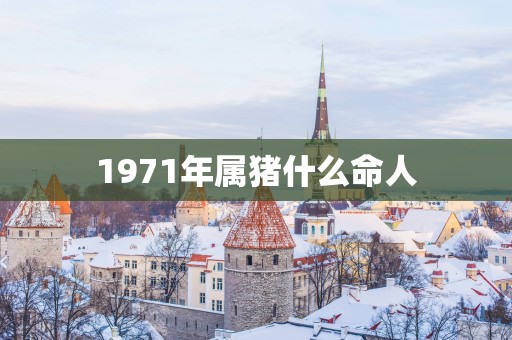 1971年属猪什么命人