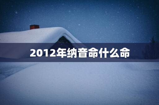 2012年纳音命什么命