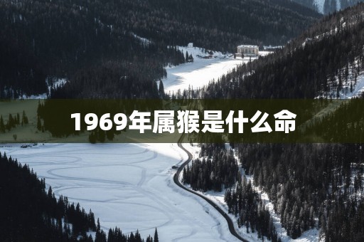 1969年属猴是什么命