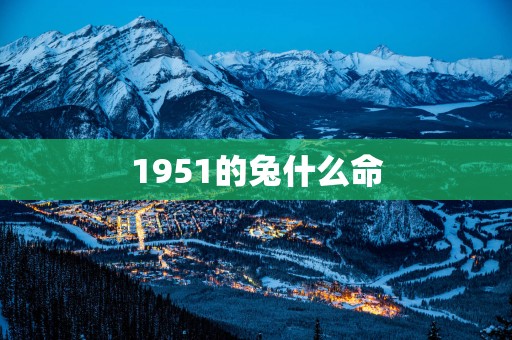 1951的兔什么命