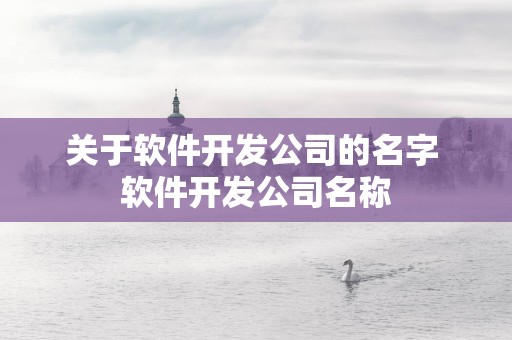 关于软件开发公司的名字 软件开发公司名称