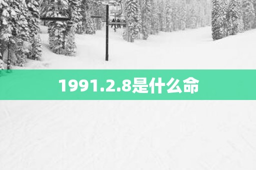 1991.2.8是什么命