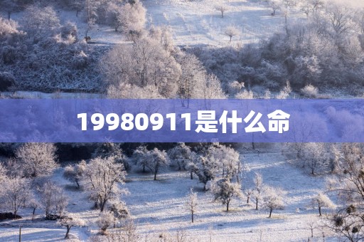 19980911是什么命
