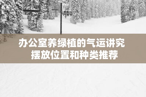 办公室养绿植的气运讲究  摆放位置和种类推荐