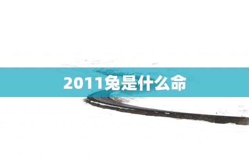 2011兔是什么命