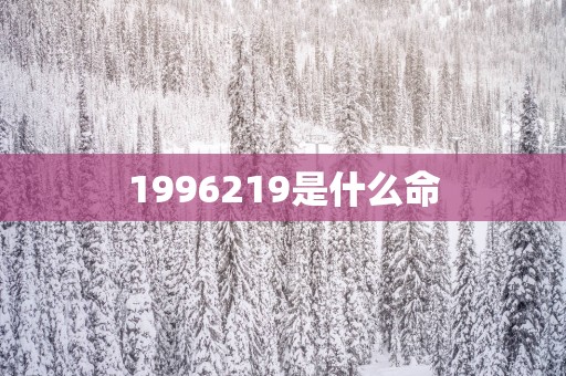 1996219是什么命