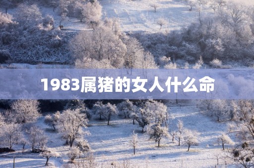 1983属猪的女人什么命