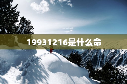 19931216是什么命