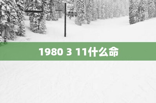 1980 3 11什么命