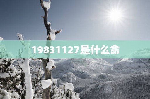 19831127是什么命