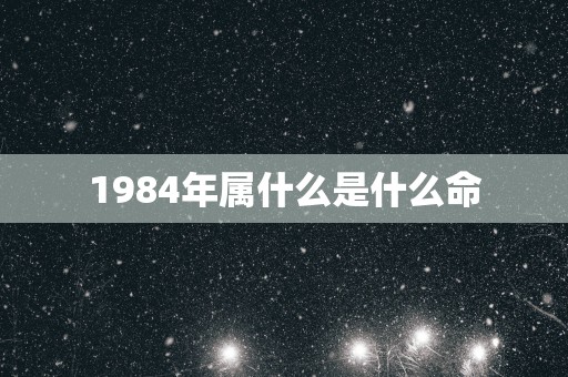 1984年属什么是什么命