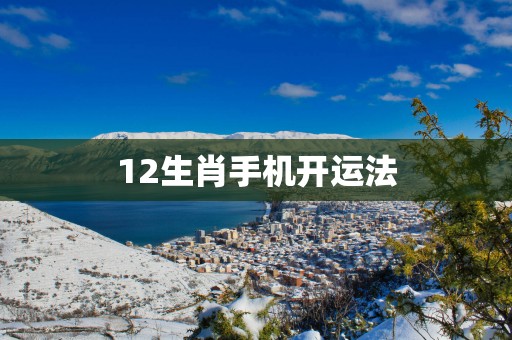 12生肖手机开运法